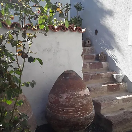 Guest house Madra House *